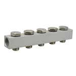 Manifold